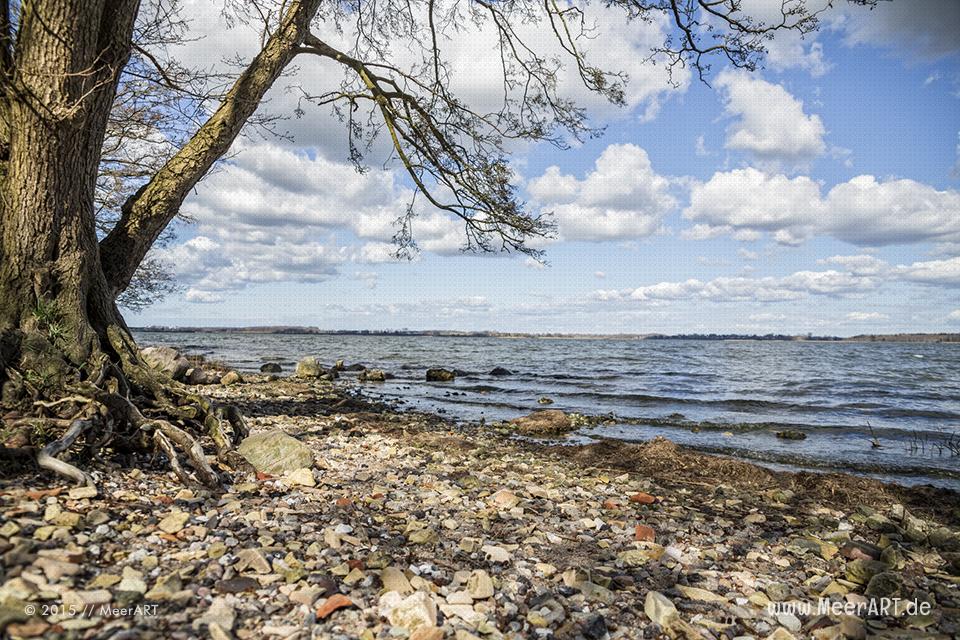 Tour entlang der Schlei über die Ortschaften Borgwedel bis Stexwig // Foto: MeerART