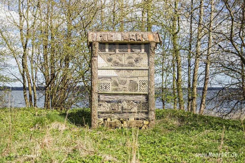 Tour entlang der Schlei über die Ortschaften Borgwedel bis Stexwig // Foto: MeerART