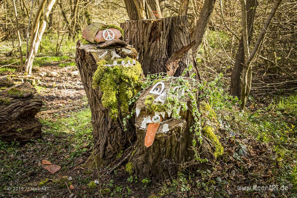 Tour entlang der Schlei über die Ortschaften Borgwedel bis Stexwig // Foto: MeerART