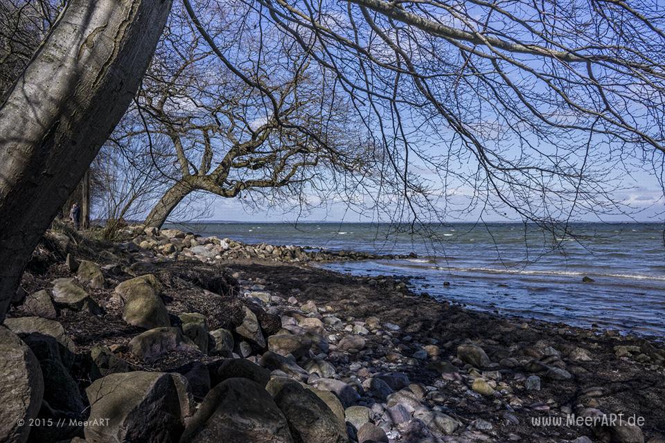Impressionen vom ruhigen und idyllischen Naturstrandabschnitt in Ohrfeldhaff // Foto: MeerART