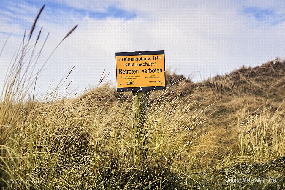 Ein Hinweisschild von der Nationalparkverwaltung in den Dünen am Strand von St. Peter-Ording // Foto: MeerART