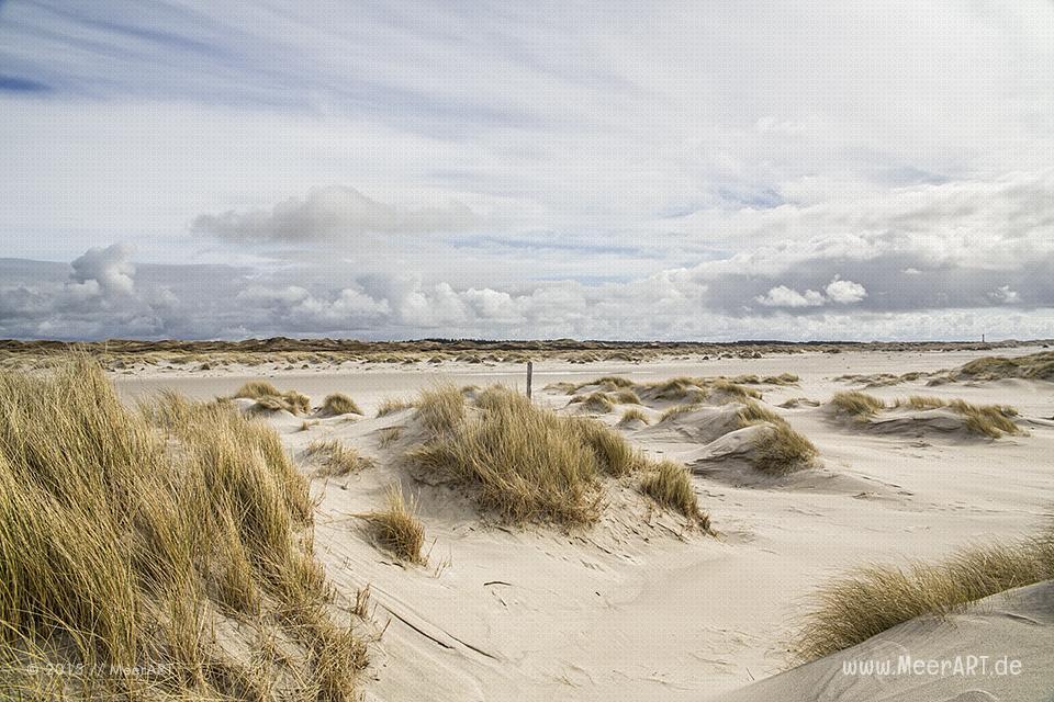 Impressionen von der Nordseeinsel Amrum und der beeindruckenden Dünenlandschaft // Foto: MeerART / Ralph Kerpa