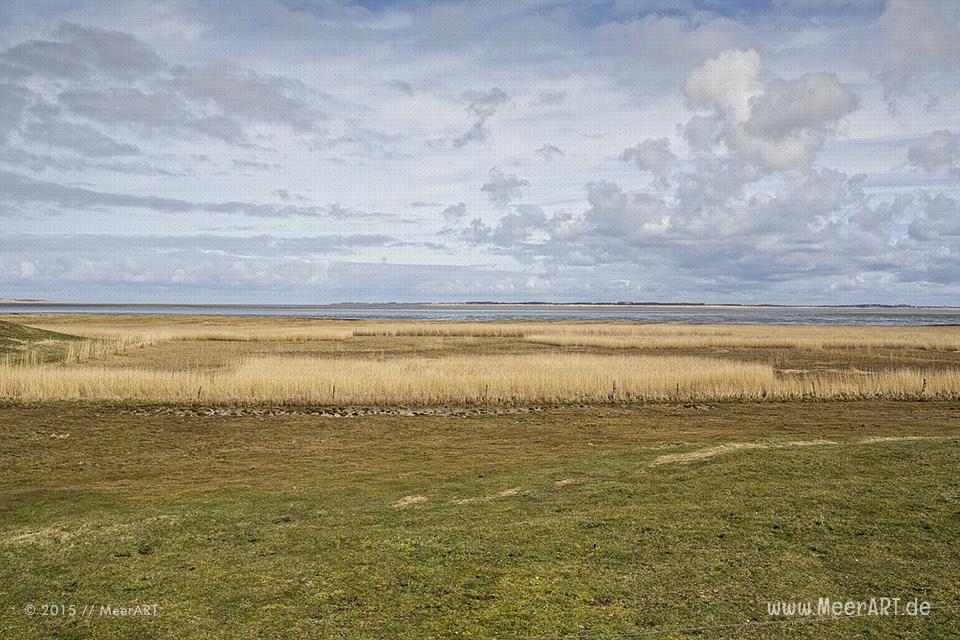 Impressionen von der Nordseeinsel Amrum und der beeindruckenden Dünenlandschaft // Foto: MeerART