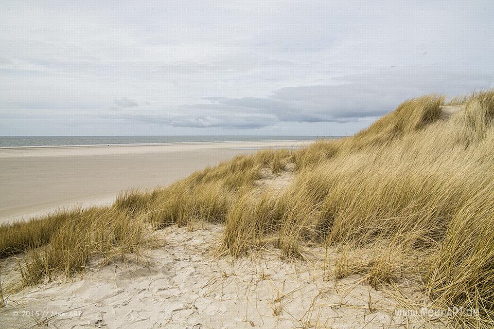 Impressionen von der Nordseeinsel Amrum und der beeindruckenden Dünenlandschaft // Foto: MeerART