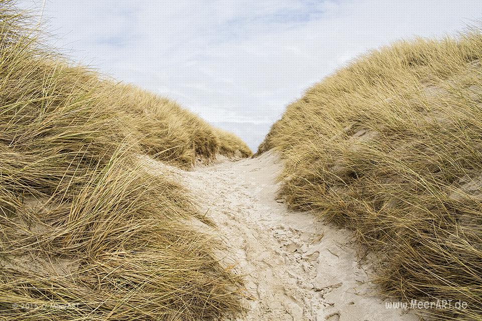 Impressionen von der Nordseeinsel Amrum und der beeindruckenden Dünenlandschaft // Foto: MeerART