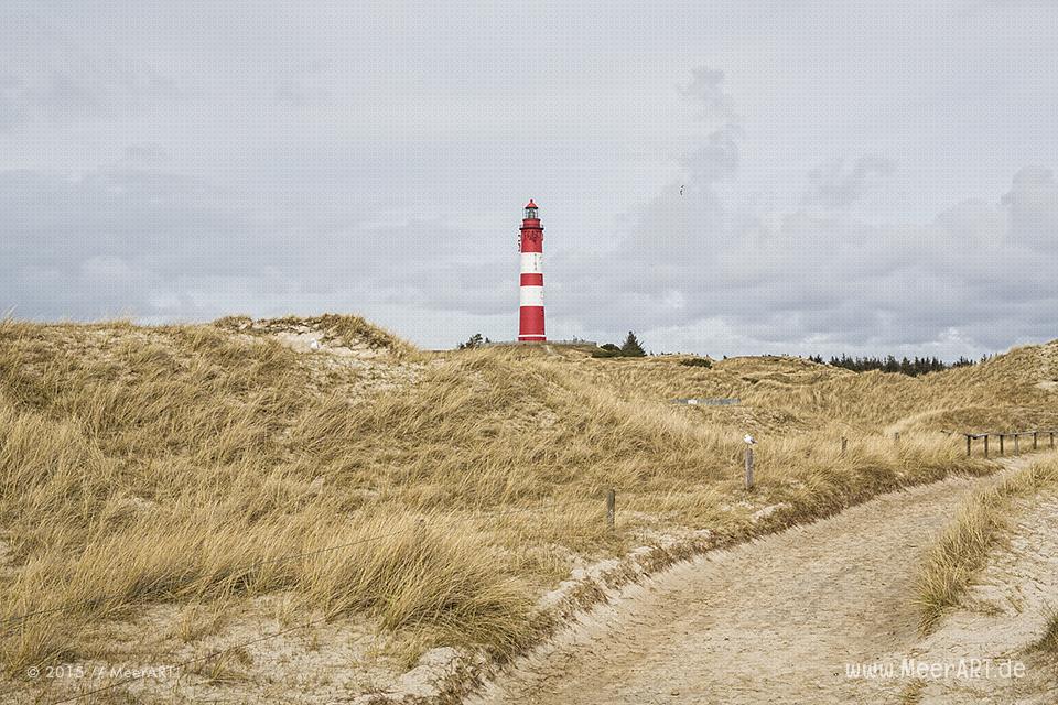 Impressionen von der Nordseeinsel Amrum und der beeindruckenden Dünenlandschaft // Foto: MeerART