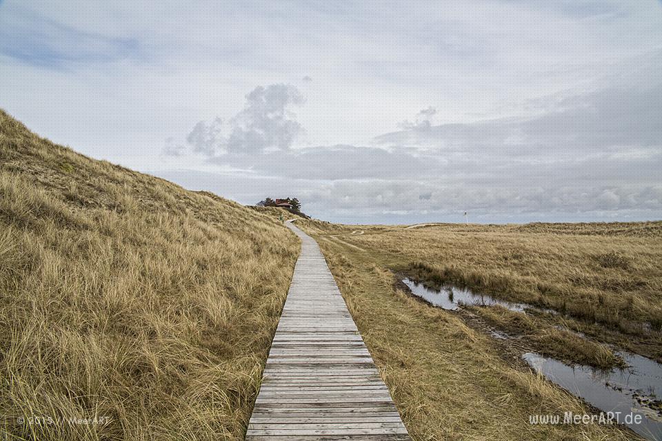 Impressionen von der Nordseeinsel Amrum und der beeindruckenden Dünenlandschaft // Foto: MeerART