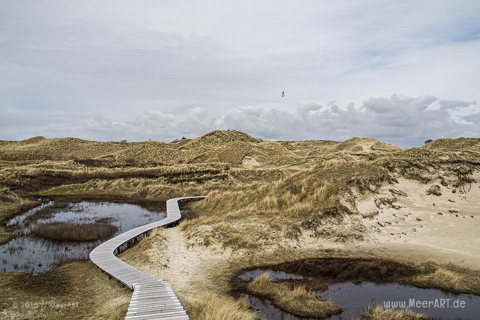Impressionen von der Nordseeinsel Amrum und der beeindruckenden Dünenlandschaft // Foto: MeerART