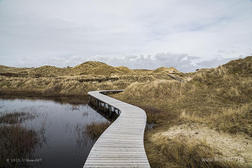 Impressionen von der Nordseeinsel Amrum und der beeindruckenden Dünenlandschaft // Foto: MeerART - Das Motiv ist als Wandbild vom Meer bei uns erhältlich / Ralph Kerpa