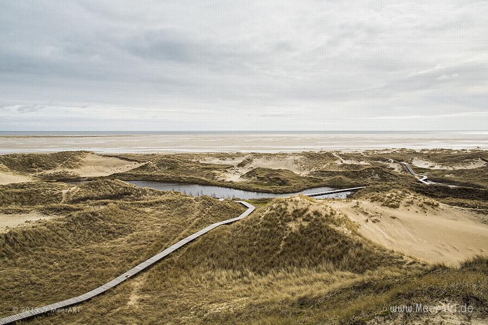 Impressionen von der Nordseeinsel Amrum und der beeindruckenden Dünenlandschaft // Foto: MeerART