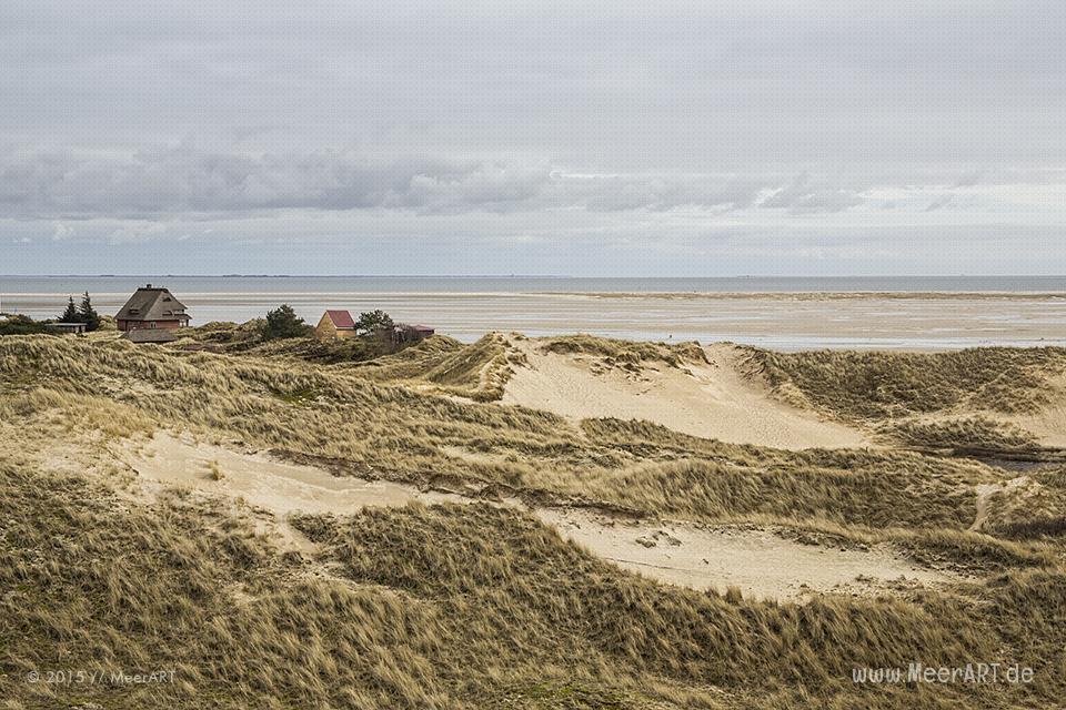 Impressionen von der Nordseeinsel Amrum und der beeindruckenden Dünenlandschaft // Foto: MeerART