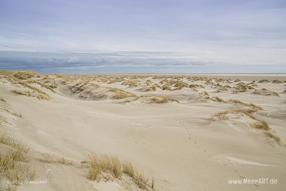 Impressionen von der Nordseeinsel Amrum und der beeindruckenden Dünenlandschaft // Foto: MeerART