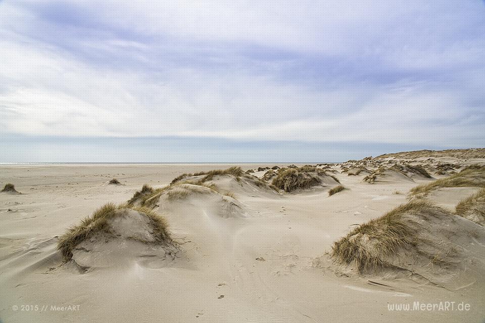 Impressionen von der Nordseeinsel Amrum und der beeindruckenden Dünenlandschaft // Foto: MeerART / Ralph Kerpa