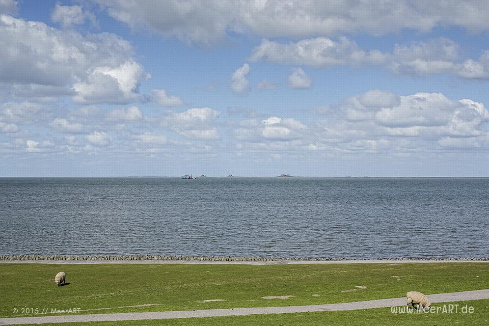 Impressionen von der eingedeichten Halbinsel Nordstrand in Nordfriesland // Foto: MeerART