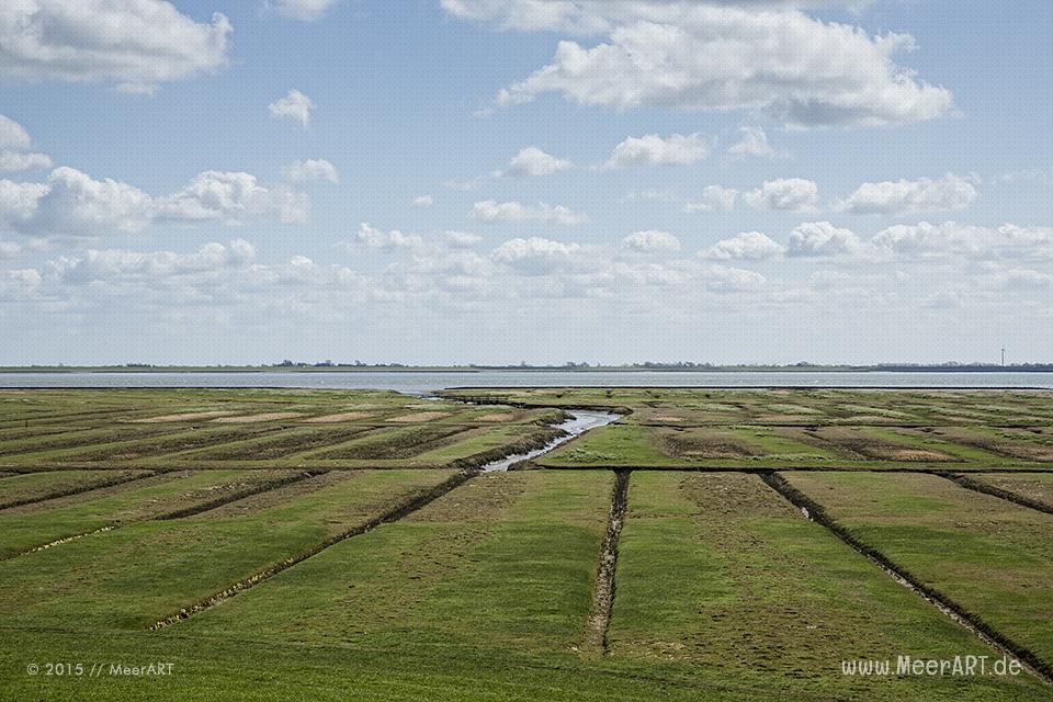 Impressionen von der eingedeichten Halbinsel Nordstrand in Nordfriesland // Foto: MeerART
