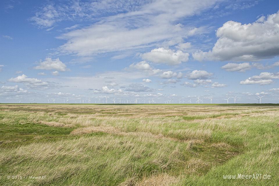 Impressionen von der Hamburger Hallig in Nordfriesland // Foto: MeerART