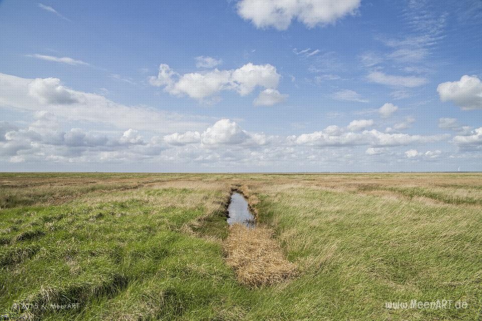Impressionen von der Hamburger Hallig in Nordfriesland // Foto: MeerART