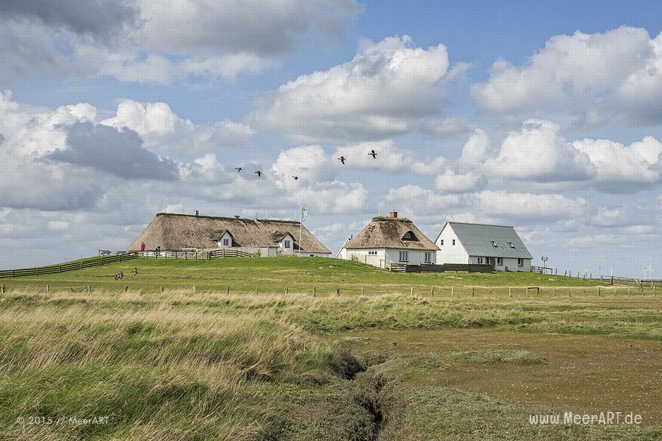 Impressionen von der Hamburger Hallig in Nordfriesland // Foto: MeerART / Ralph Kerpa