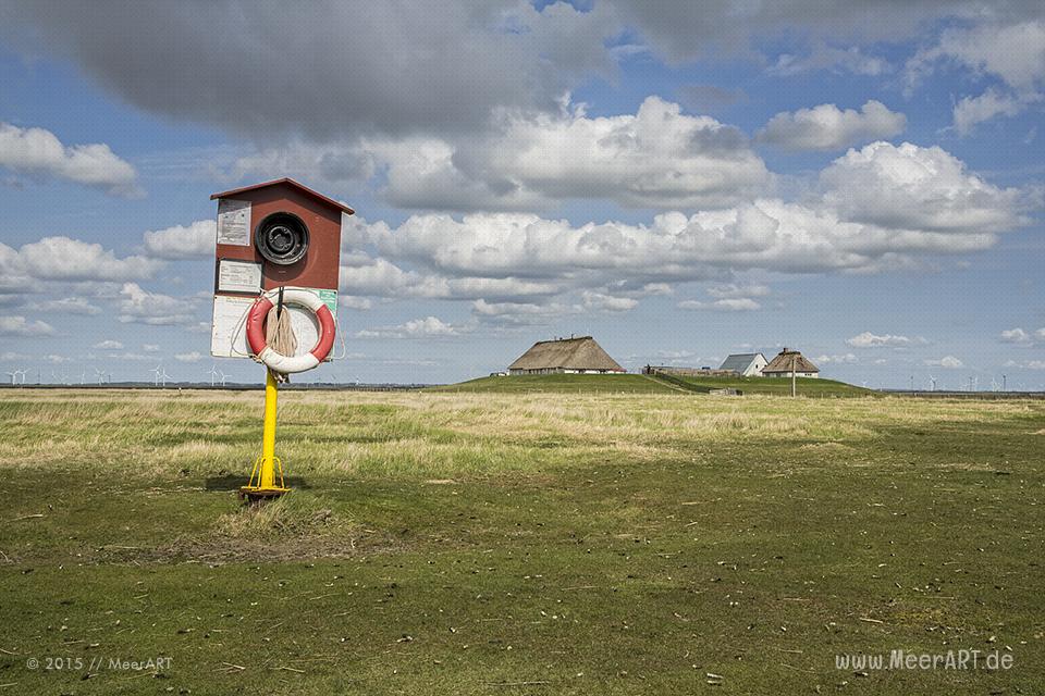 Impressionen von der Hamburger Hallig in Nordfriesland // Foto: MeerART