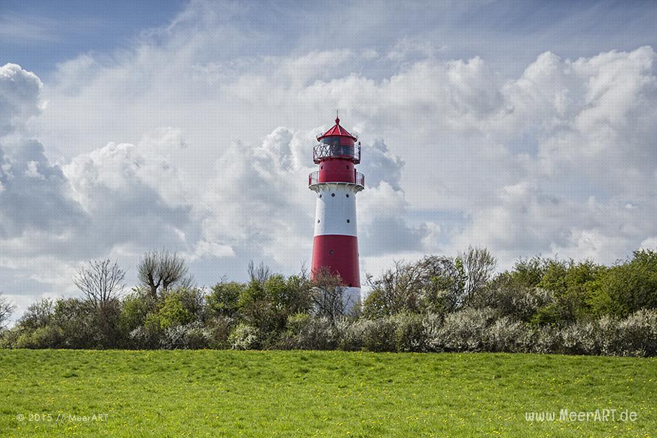 Der Leuchtturm an der Ostseeküste von Falshöft // Foto: MeerART