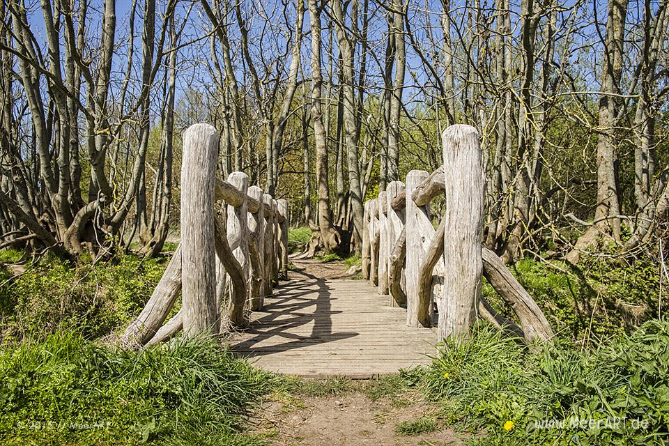 Impressionen aus dem Naturschutzgebiet "Geltinger Birk" // Foto: MeerART