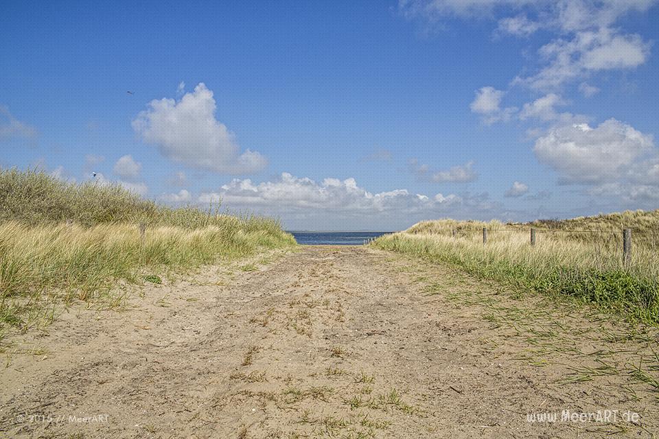 Impressionen von der sehenswerten und wunderschönen westfriesischen Insel Texel in Holland // Foto: MeerART