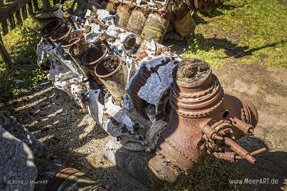 Impressionen von der sehenswerten und wunderschönen Insel Texel in Holland // Foto: MeerART