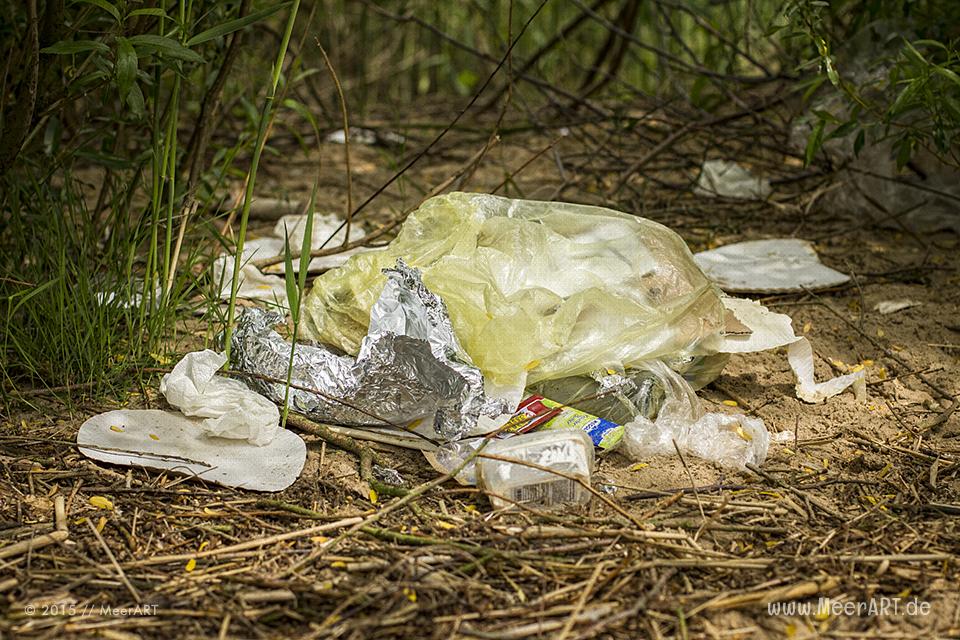 Viel Müll in der Natur auf der Elbinsel in Geesthacht // Foto: MeerART