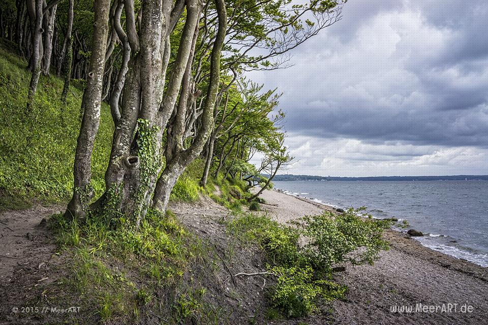 Impressionen aus Glücksburg an der Flensburger Förde // Foto: MeerART
