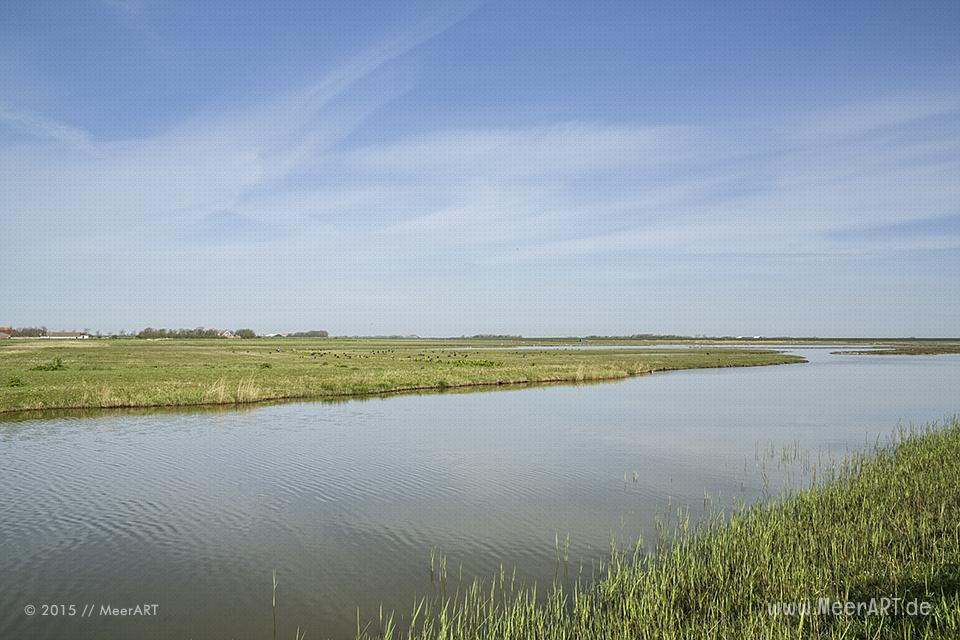 Impressionen von der sehenswerten und wunderschönen westfriesischen Insel Texel in Holland // Foto: MeerART