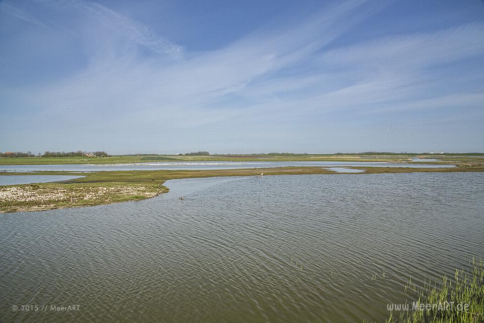 Impressionen von der sehenswerten und wunderschönen westfriesischen Insel Texel in Holland // Foto: MeerART