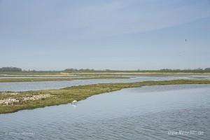 Impressionen von der sehenswerten und wunderschönen westfriesischen Insel Texel in Holland // Foto: MeerART