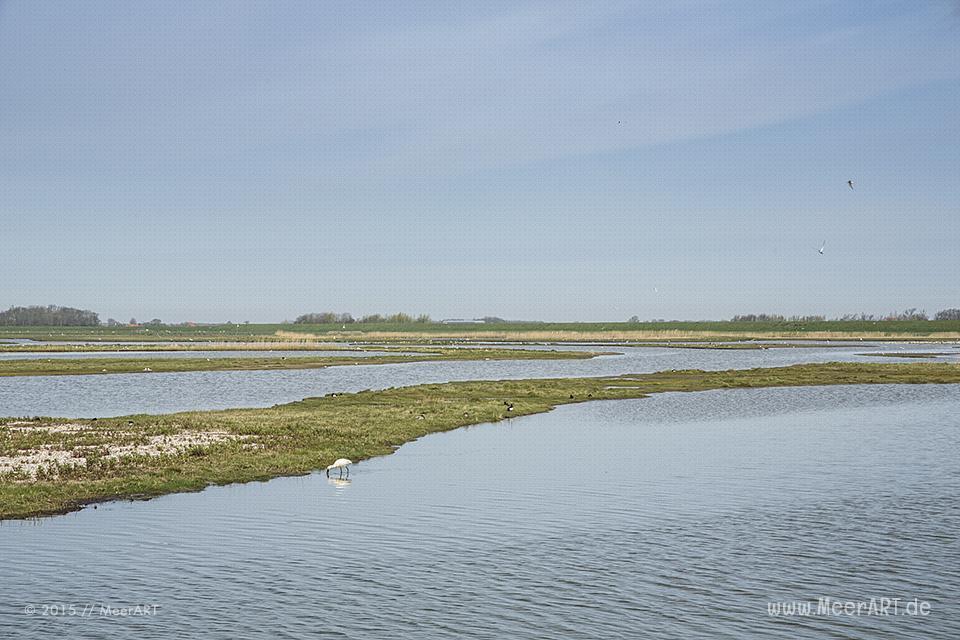 Impressionen von der sehenswerten und wunderschönen westfriesischen Insel Texel in Holland // Foto: MeerART