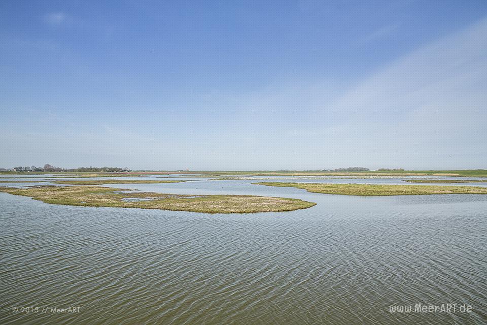 Impressionen von der sehenswerten und wunderschönen westfriesischen Insel Texel in Holland // Foto: MeerART
