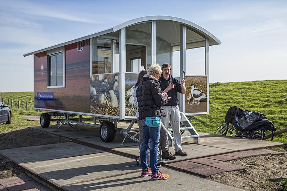 Impressionen von der sehenswerten und wunderschönen westfriesischen Insel Texel in Holland // Foto: MeerART