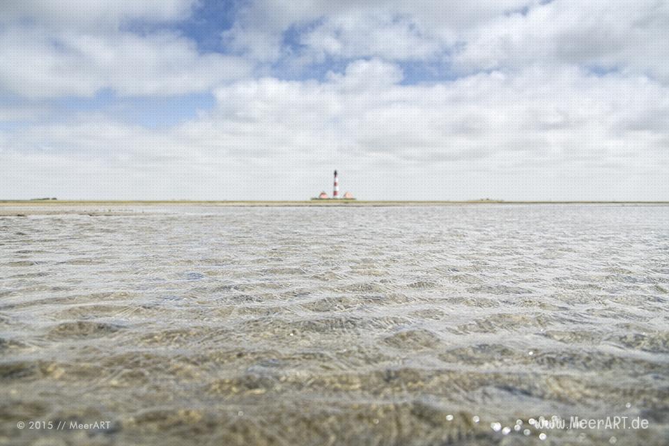 Führung mit Biologen Rainer Schulz von der Schutzstation Wattenmeer // Foto: MeerART