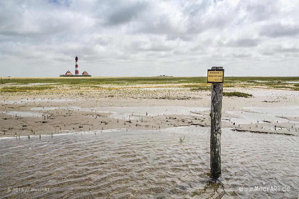 Führung mit Biologen Rainer Schulz von der Schutzstation Wattenmeer // Foto: MeerART / Ralph Kerpa