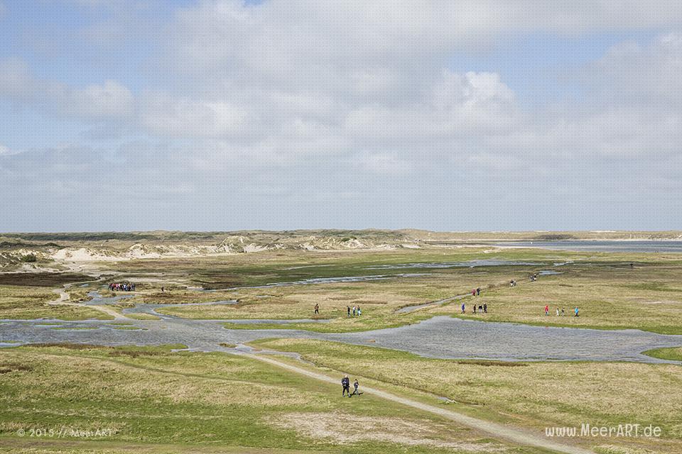 Impressionen von der sehenswerten und wunderschönen westfriesischen Insel Texel in Holland // Foto: MeerART