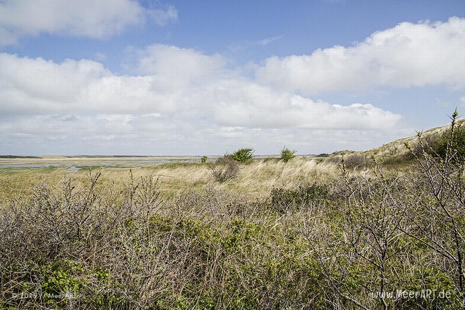 Impressionen von der sehenswerten und wunderschönen westfriesischen Insel Texel in Holland // Foto: MeerART
