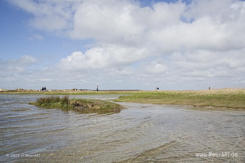 Impressionen von der sehenswerten und wunderschönen westfriesischen Insel Texel in Holland // Foto: MeerART