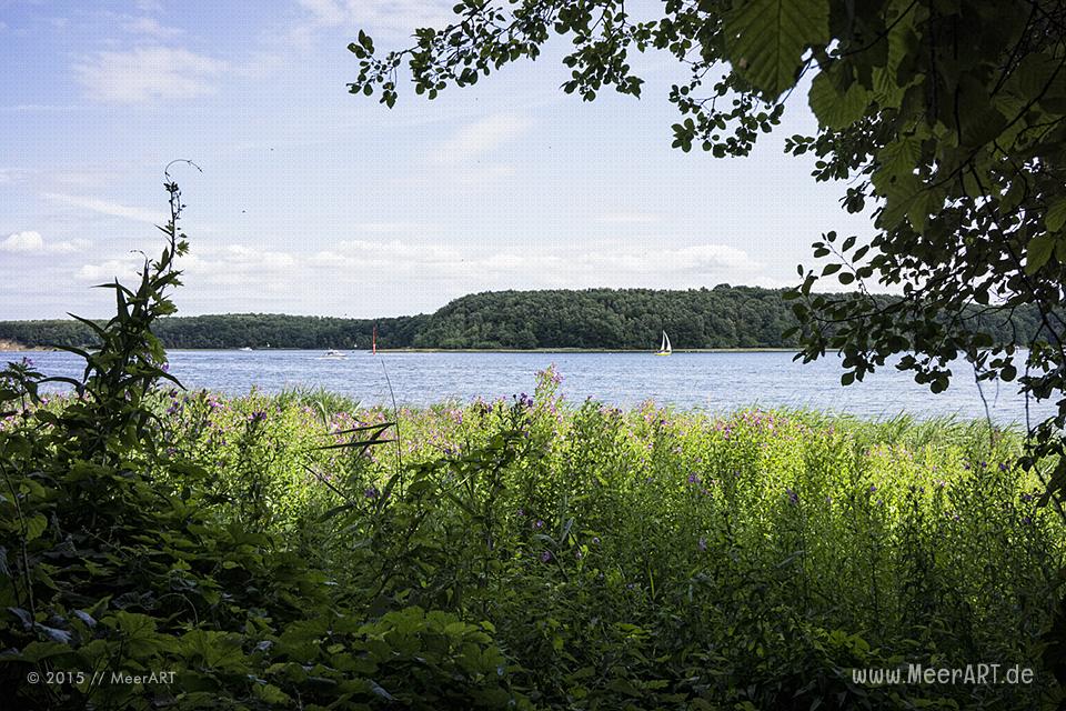 Impressionen aus dem Naturschutzgebiet „Dummerdorfer Ufer“ an der Trave // Foto: MeerART