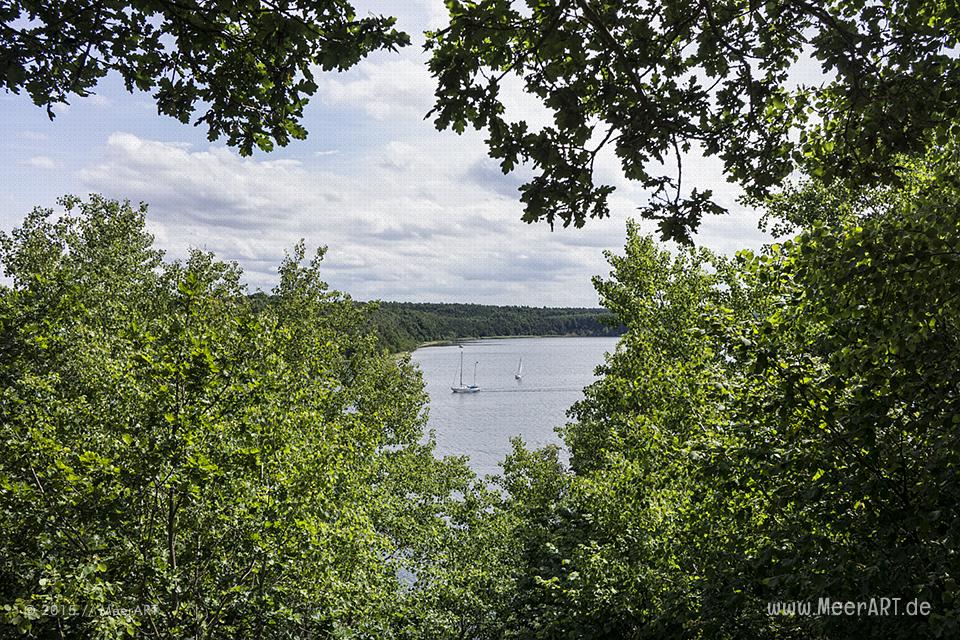 Impressionen aus dem Naturschutzgebiet „Dummerdorfer Ufer“ an der Trave // Foto: MeerART