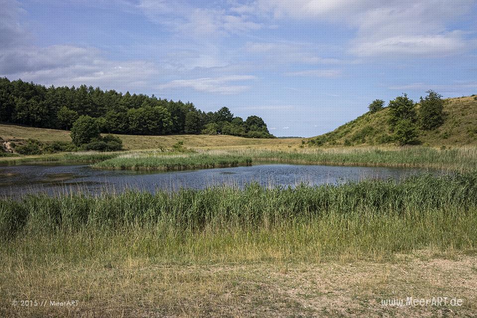 Impressionen aus dem Naturschutzgebiet „Dummerdorfer Ufer“ an der Trave // Foto: MeerART