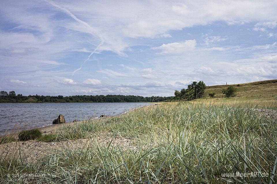 Impressionen aus dem Naturschutzgebiet „Dummerdorfer Ufer“ an der Trave // Foto: MeerART