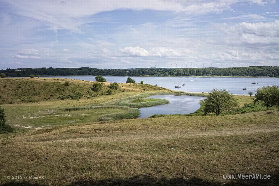 Impressionen aus dem Naturschutzgebiet „Dummersdorfer Ufer“ an der Trave // Foto: MeerART