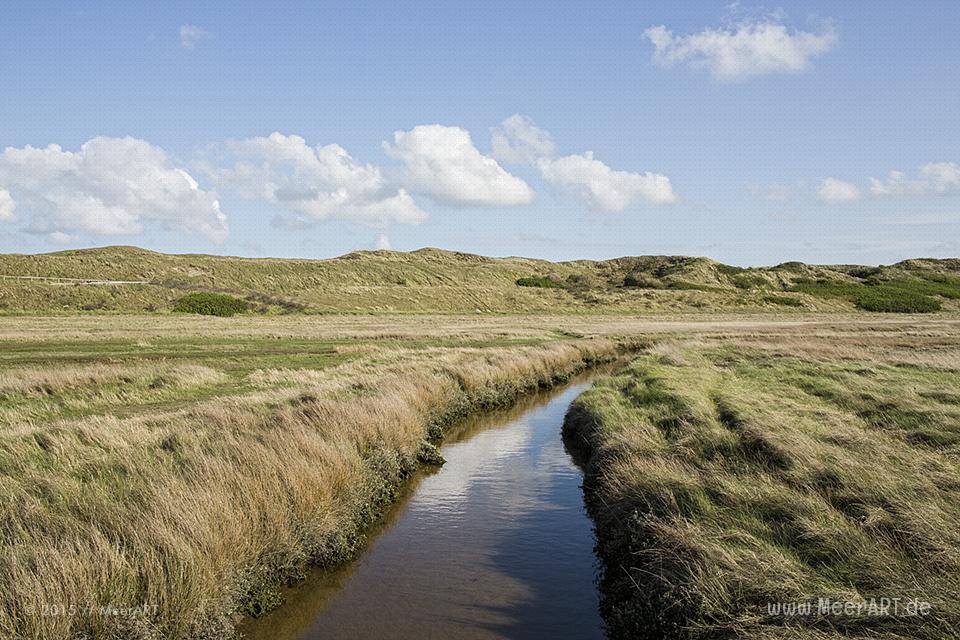 Impressionen von der sehenswerten und wunderschönen westfriesischen Insel Texel in Holland // Foto: MeerART