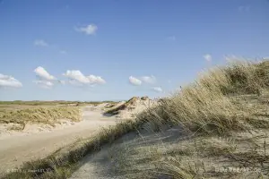 Impressionen von der sehenswerten und wunderschönen westfriesischen Insel Texel in Holland // Foto: MeerART / Ralph Kerpa