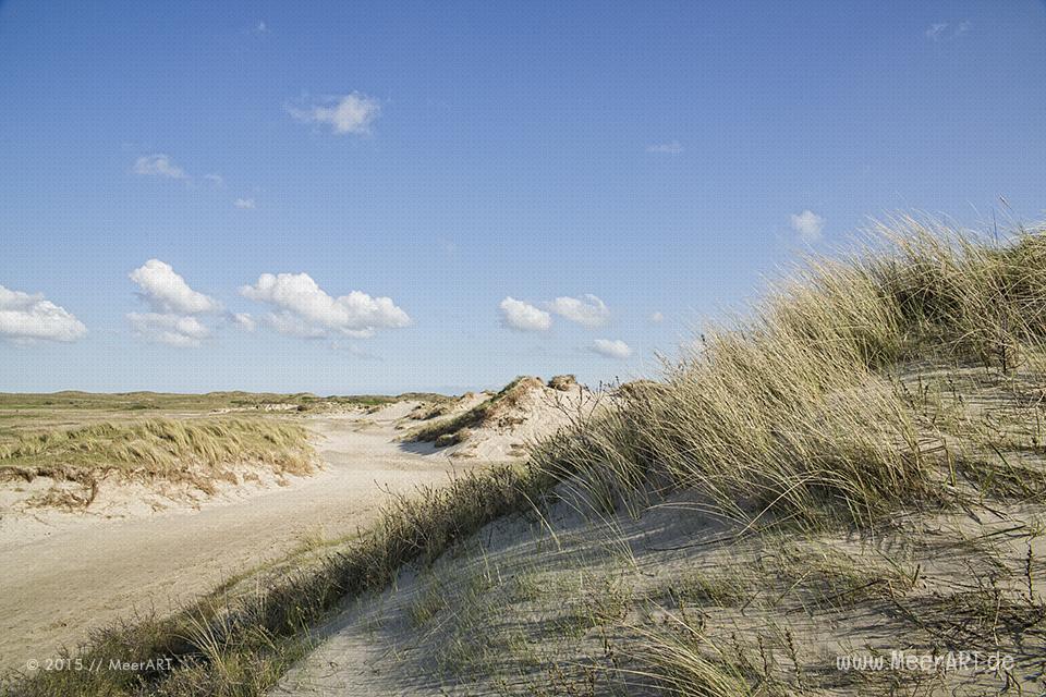 Impressionen von der sehenswerten und wunderschönen westfriesischen Insel Texel in Holland // Foto: MeerART / Ralph Kerpa