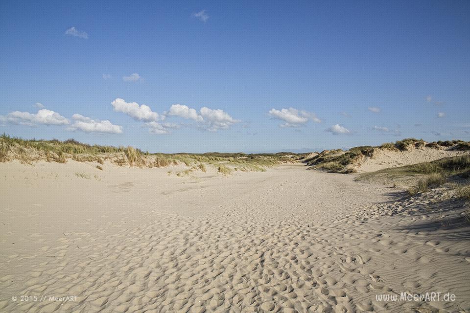 Impressionen von der sehenswerten und wunderschönen westfriesischen Insel Texel in Holland // Foto: MeerART