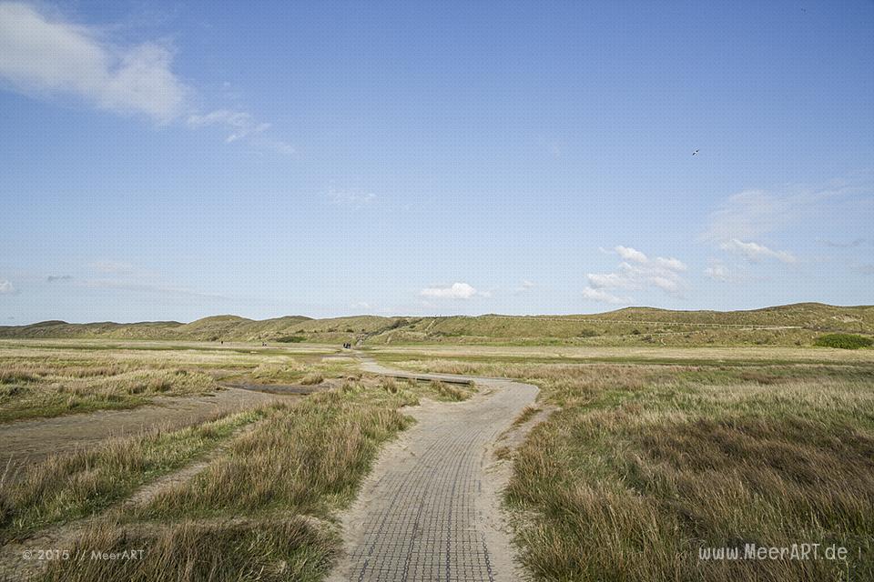 Impressionen von der sehenswerten und wunderschönen westfriesischen Insel Texel in Holland // Foto: MeerART